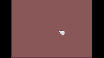 Pokémon go bunt’d w flash gameplay