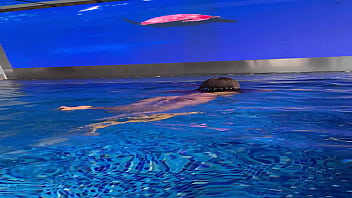 Monika fox in purple bikini swims in pool & poses by window against background of city free