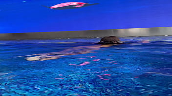 Monika fox in purple bikini swims in pool & poses by window against background of city free