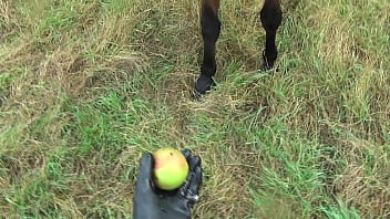 Be sure the bitch likes you