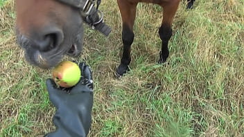 Be sure the bitch likes you