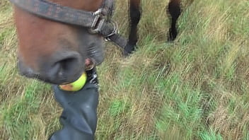 Be sure the bitch likes you