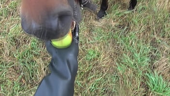 Be sure the bitch likes you