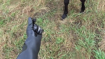 Be sure the bitch likes you