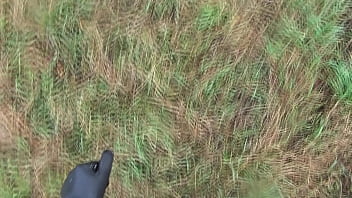 Be sure the bitch likes you