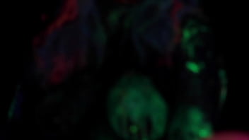 Video bokep part 19821243