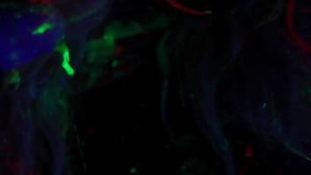 Video bokep part 19821243