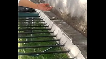 Inshot 20170113 120006