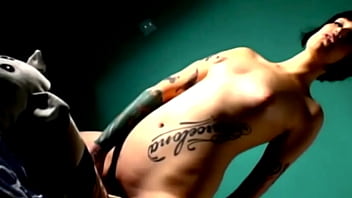 Striped cat Striped cat