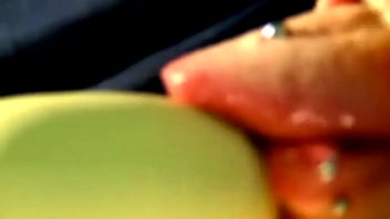 Striped cat Striped cat