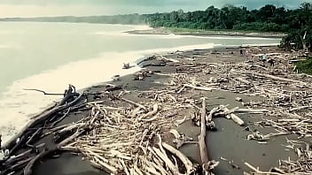 Vacashoots or shootcations