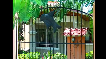 Vacashoots or shootcations