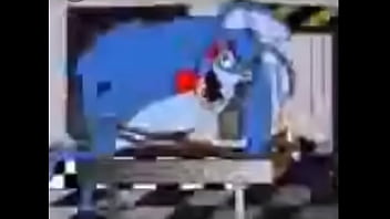 Confira As Imagens thumbnail