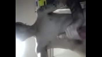 Video 2017 04 23 00 21 23