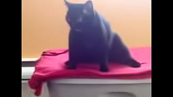 May 16 2011 thumbnail