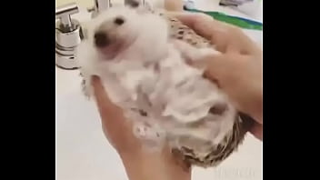 Видео для верификации