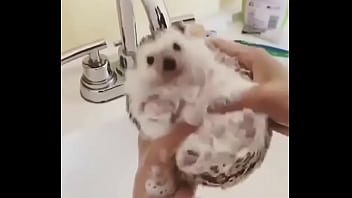 Видео для верификации