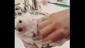 Видео для верификации