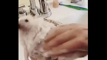 Видео для верификации