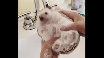 Видео для верификации