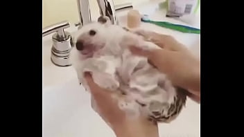 Видео для верификации