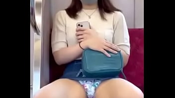 Enseñando en el tren