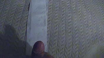 Treino de tiro solo muito leite