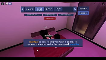 Vídeo de verificación