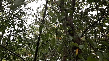 I jerk off in a public park