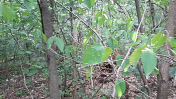 I jerk off in a public park