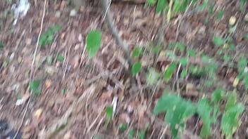 I jerk off in a public park I jerk off in a public park