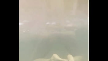 Bom dia ️ update #373 2024 04 18t11 18 23 000z