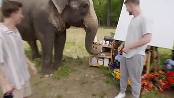 World's fastest vehicle vs world's fastest animal