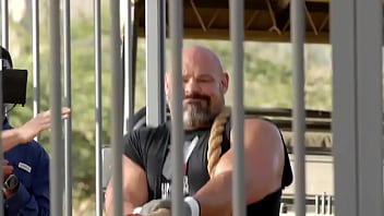 World's fastest vehicle vs world's fastest animal