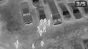 World's fastest vehicle vs world's fastest animal