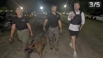 World's fastest vehicle vs world's fastest animal