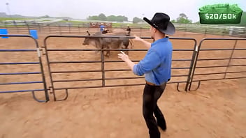 World's fastest vehicle vs world's fastest animal