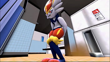 Fui comer um burrito e quase