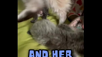 Rescued pregnant mia and give her kittenzz a good and calm life