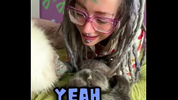 Rescued pregnant mia and give her kittenzz a good and calm life Rescued pregnant mia and give her kittenzz a good and calm life