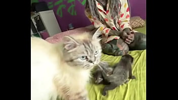 Rescued pregnant mia and give her kittenzz a good and calm life