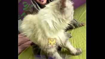 Rescued pregnant mia and give her kittenzz a good and calm life