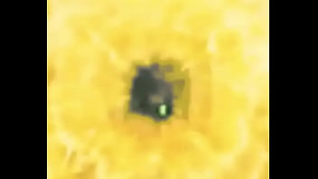 Peidando Na Boca Dos Outros Gostosamente thumbnail