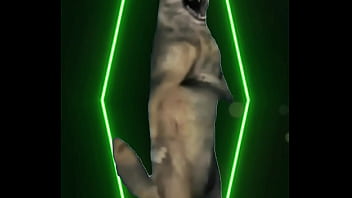 She didn’t speak she didn’t need to your fogged your heart skipped and you realized too late — this was not a love story this was a warning