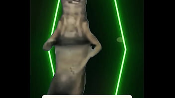 She didn’t speak she didn’t need to your fogged your heart skipped and you realized too late — this was not a love story this was a warning