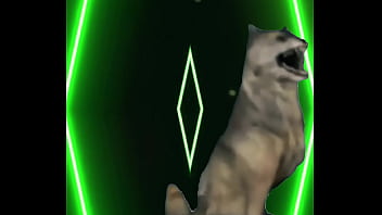 She didn’t speak she didn’t need to your fogged your heart skipped and you realized too late — this was not a love story this was a warning