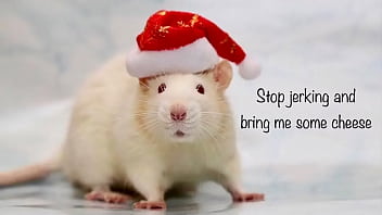 Holliday Greeting From Roger thumbnail