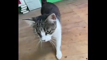 Sneak peek of the photoshoot with andishorti this one’s going to be fire #photoshootpreview #andishorti #bts #