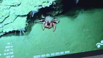 Mi padrastro me folla el culo con su verga enorme hasta provocarme un gran orgasmo anal casero argentina Mi padrastro me folla el culo con su verga enorme hasta provocarme un gran orgasmo anal casero argentina