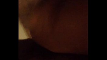 Gorilla on the kitty